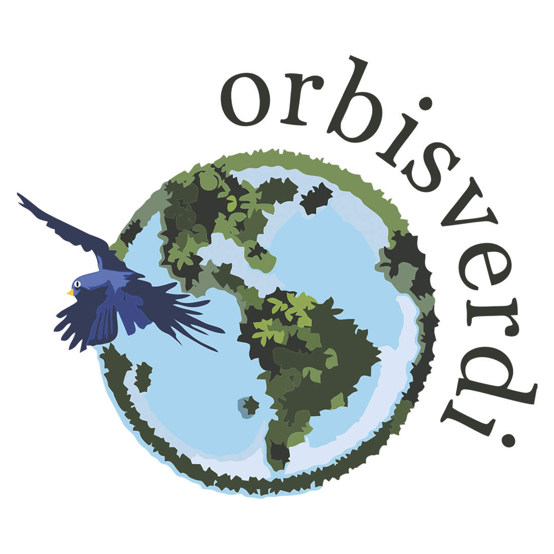 orbis-verdi-plano-financeiro